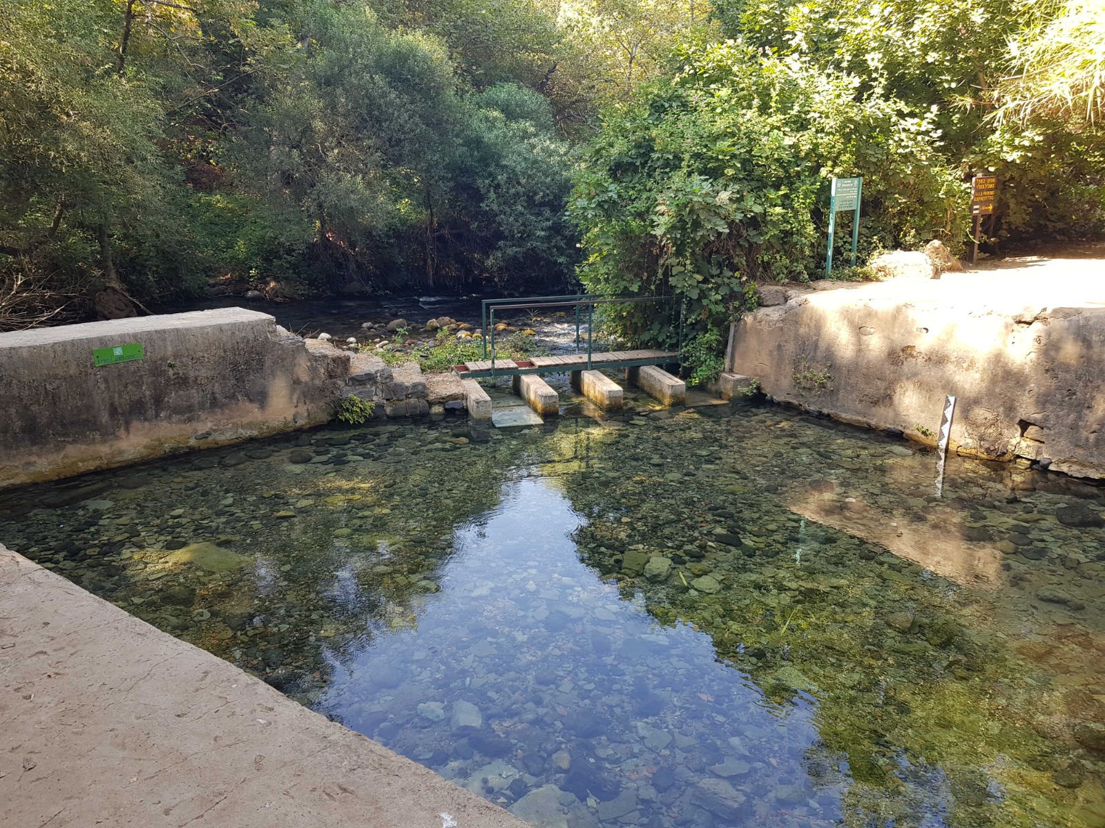 בריכת הקצינים