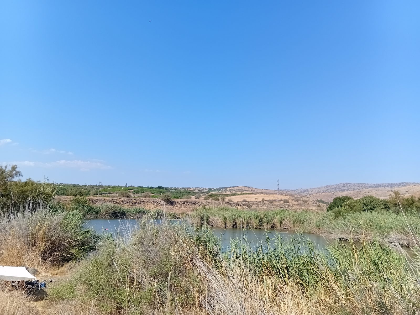 מאגר דליות (אגם מעלה השחר)